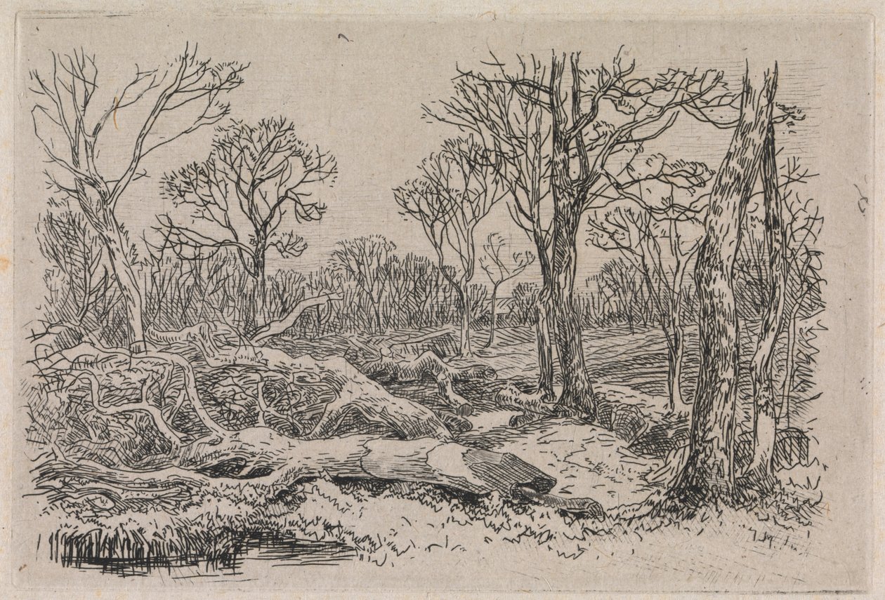 Gehakt hout, Burningham door John Middleton