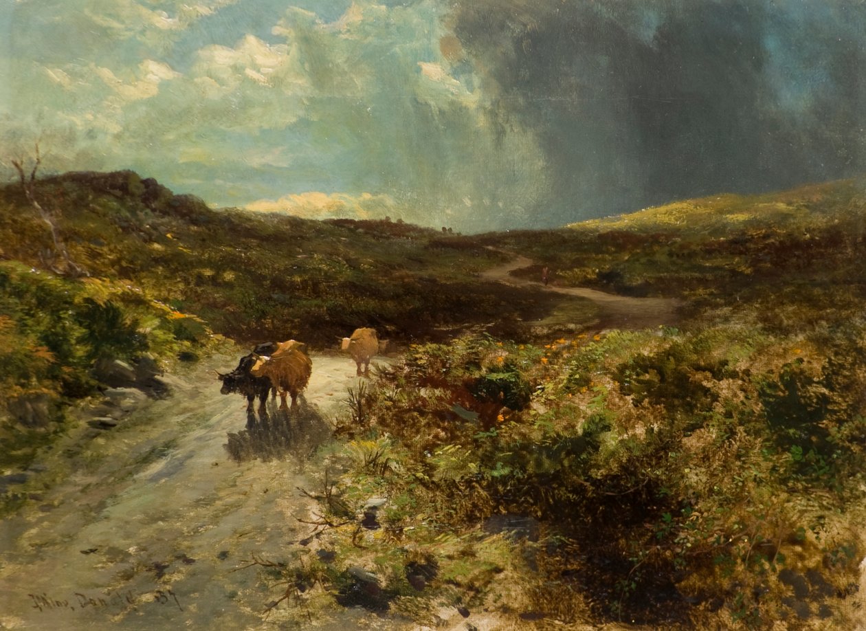 De Drove Road door John Milne Donald
