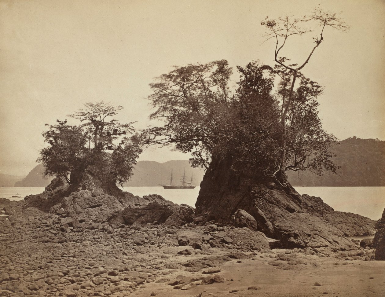 Eilanden in Limón Bay, 1871 door John Moran