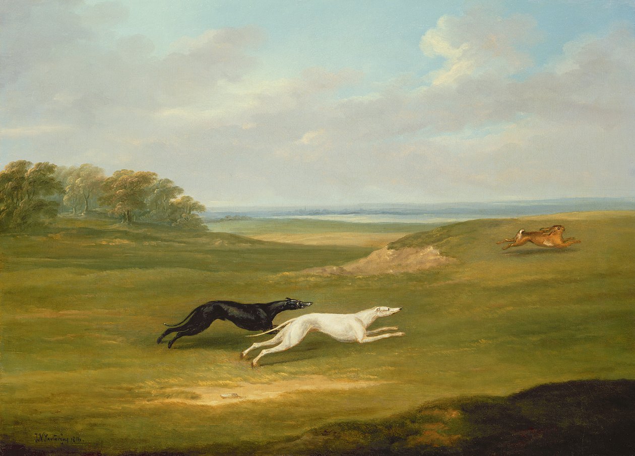Hardlopen, een coursing scène door John Nott Sartorius