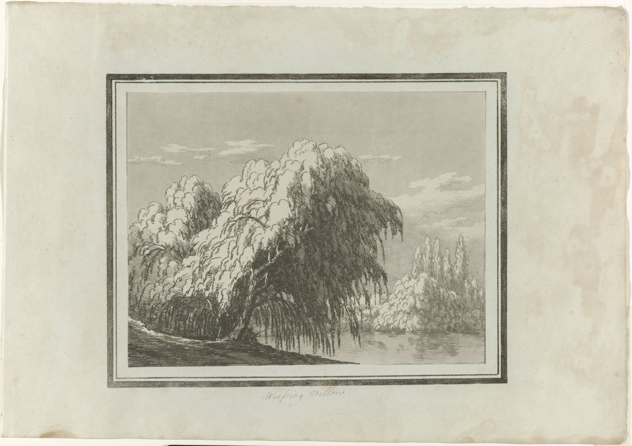 Treurwilg door John Robert Cozens