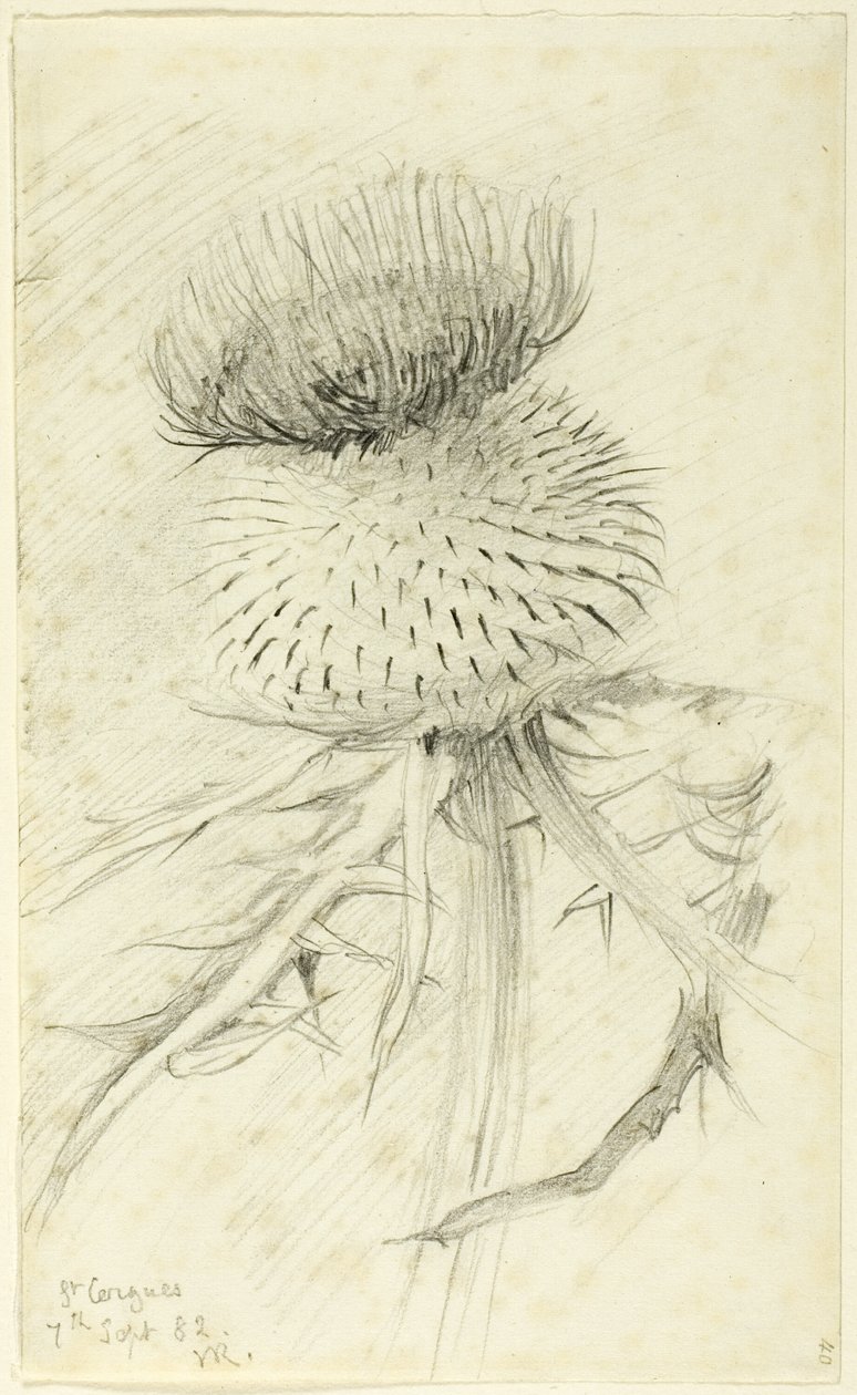 St. Cergues door John Ruskin