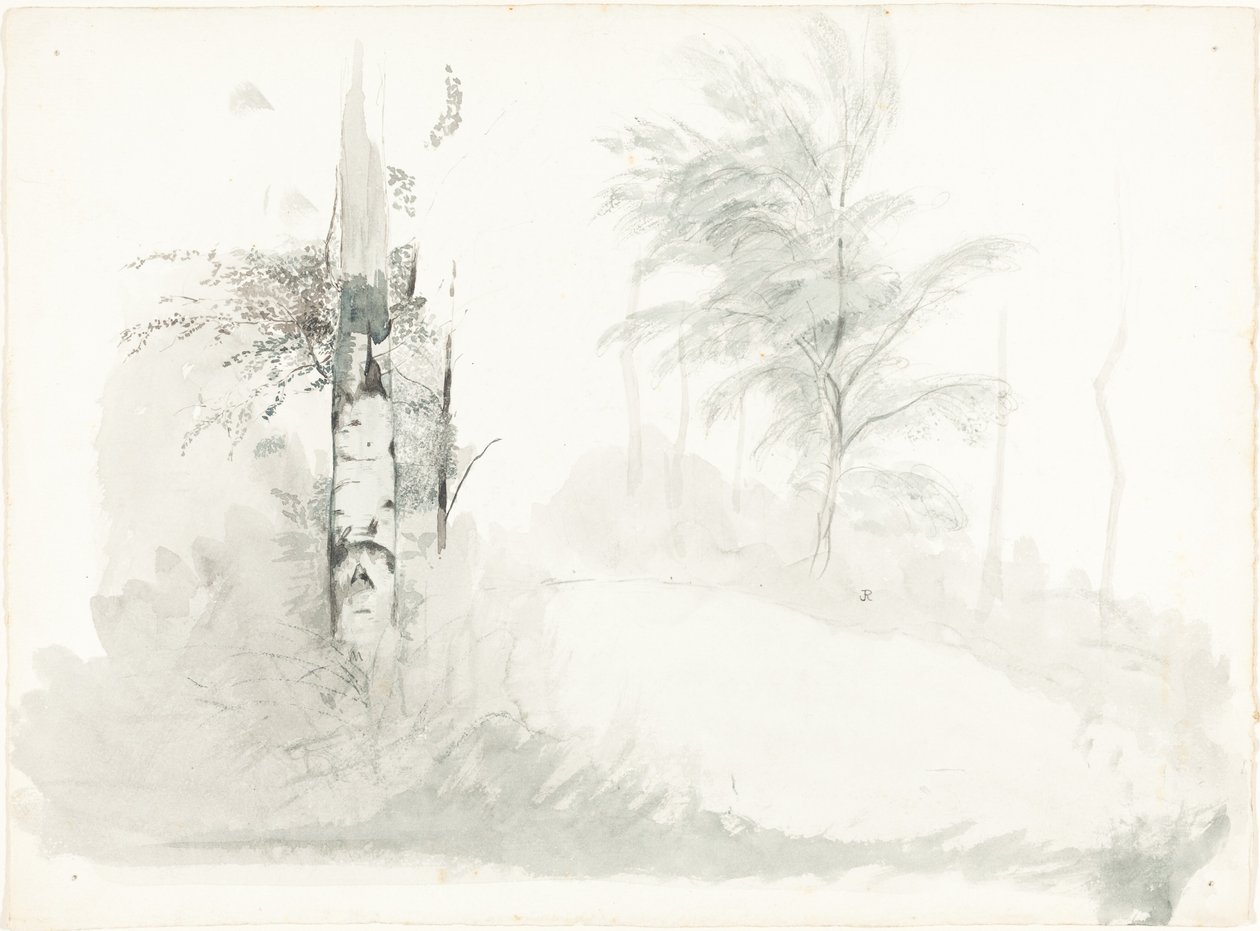 Boomstudie door John Ruskin