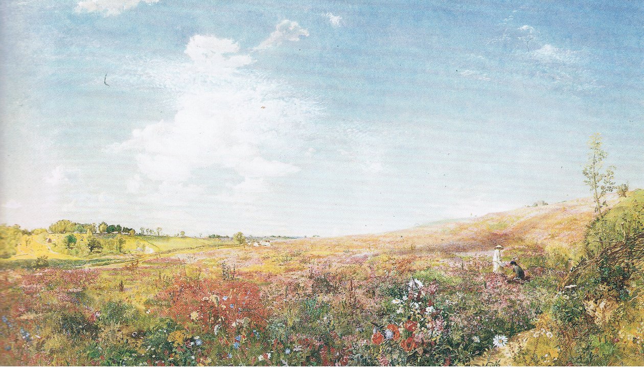 Zomerlandschap door John Samuel Raven