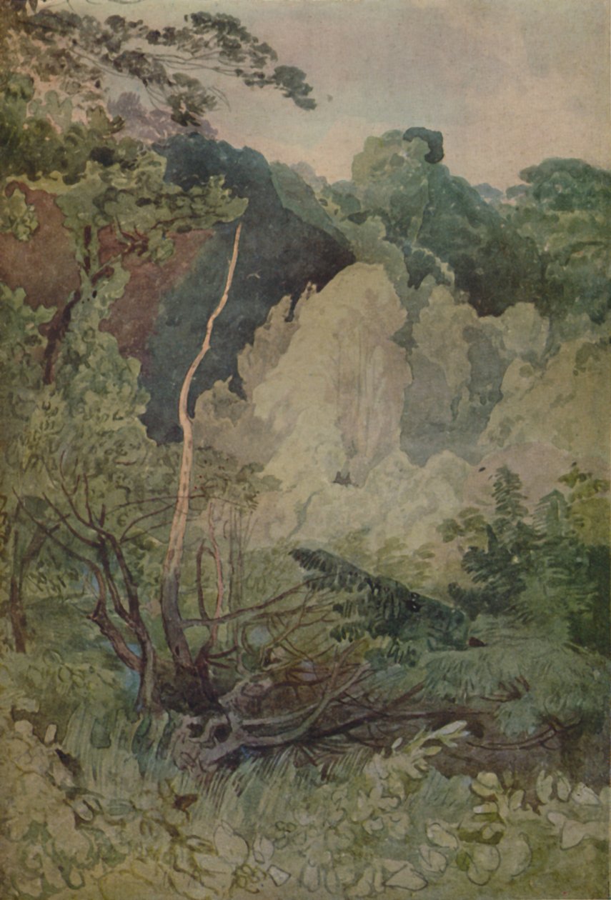 Bomen bij de Greta-rivier door John Sell Cotman