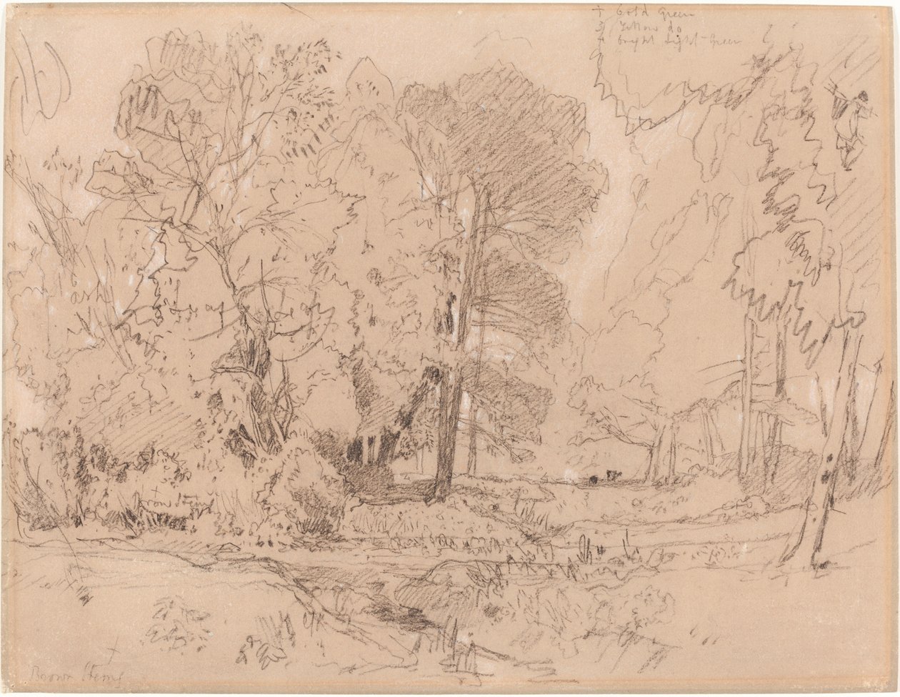 Boslandschap door John Sell Cotman