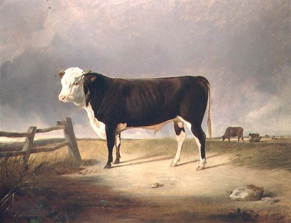 De Kanselier door John Sheriff