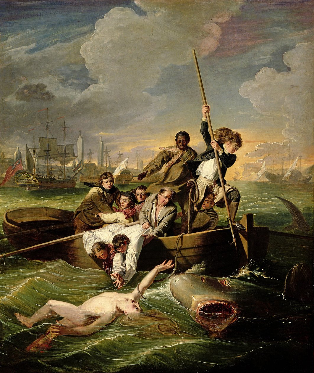 Watson en de haai door John Singleton Copley