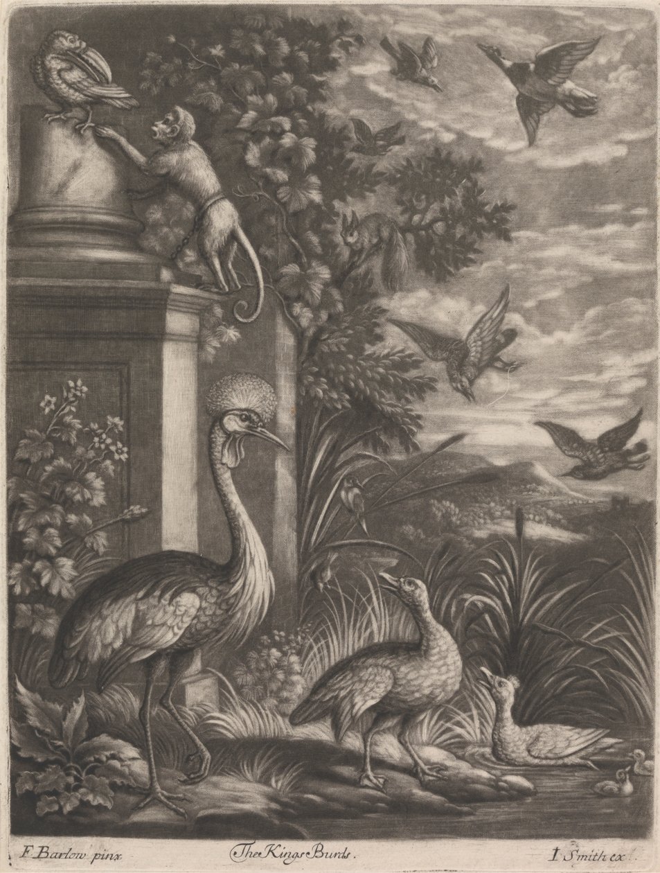 De Koningsvogels door John Smith