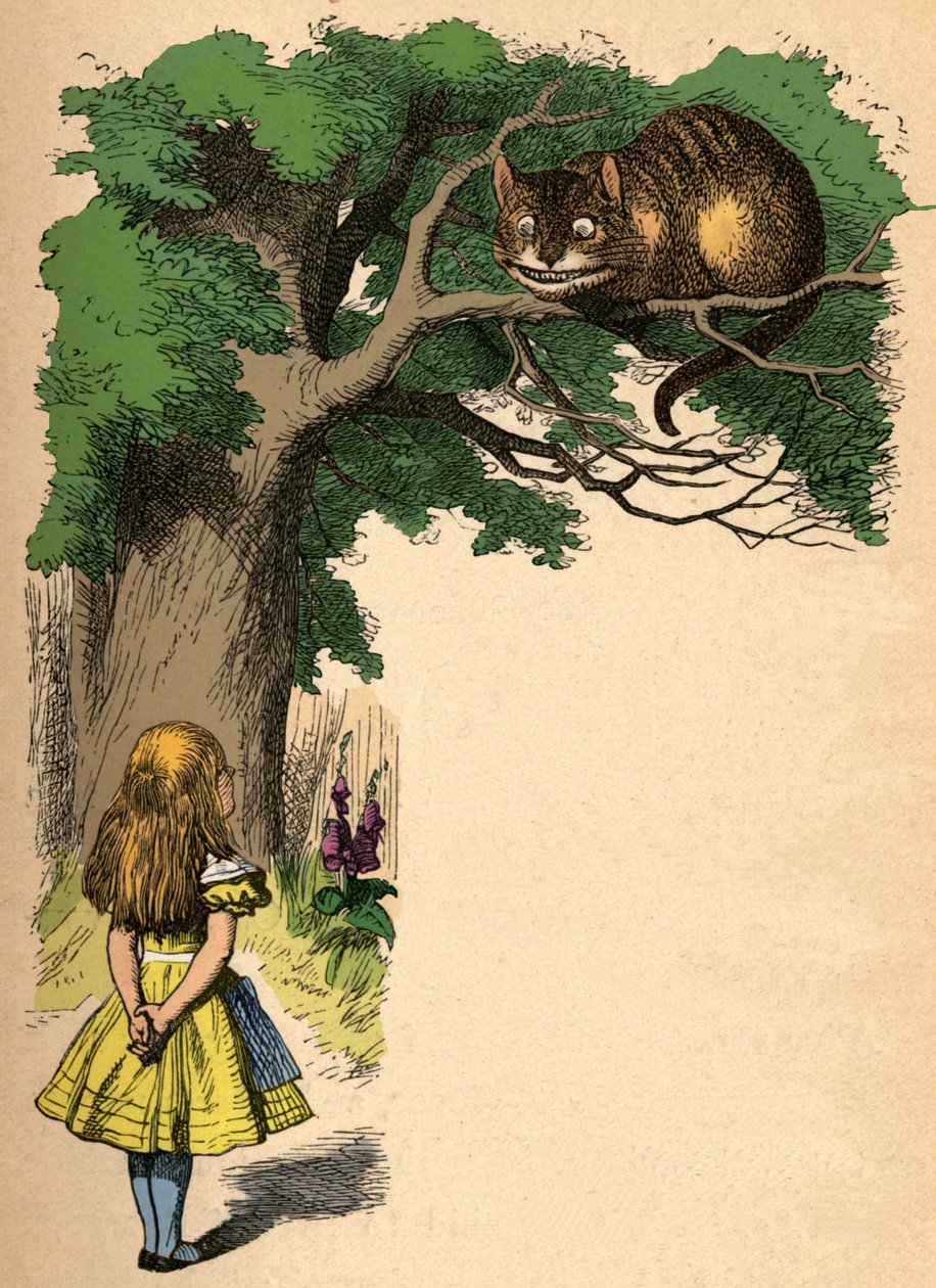Alice en de Cheshire Cat, 1889 door John Tenniel