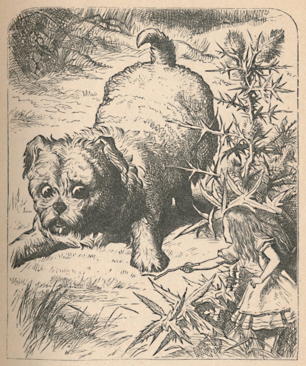 De reusachtige puppy, 1889 door John Tenniel