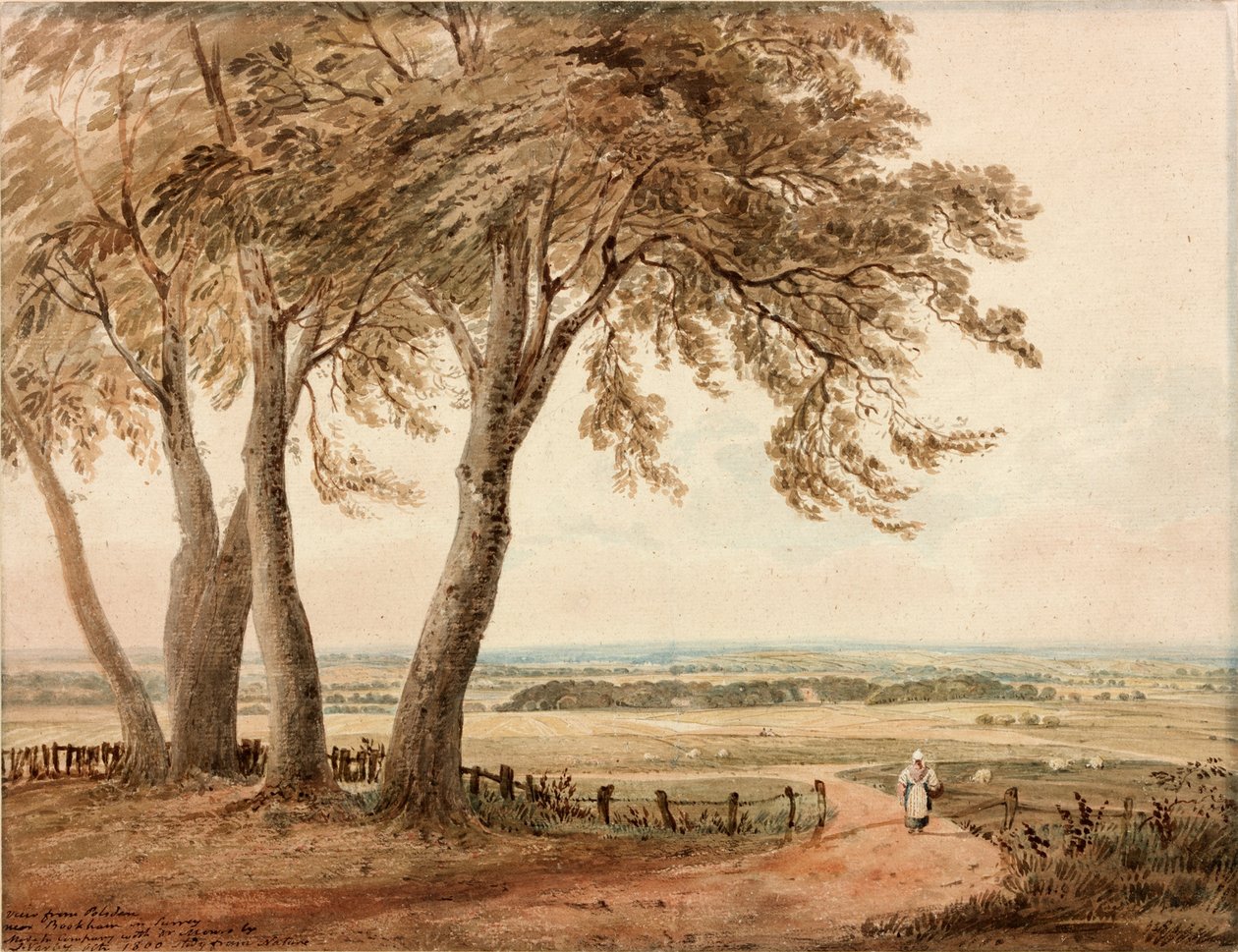 Uitzicht vanaf Polsden bij Bookham in Surrey door John Varley