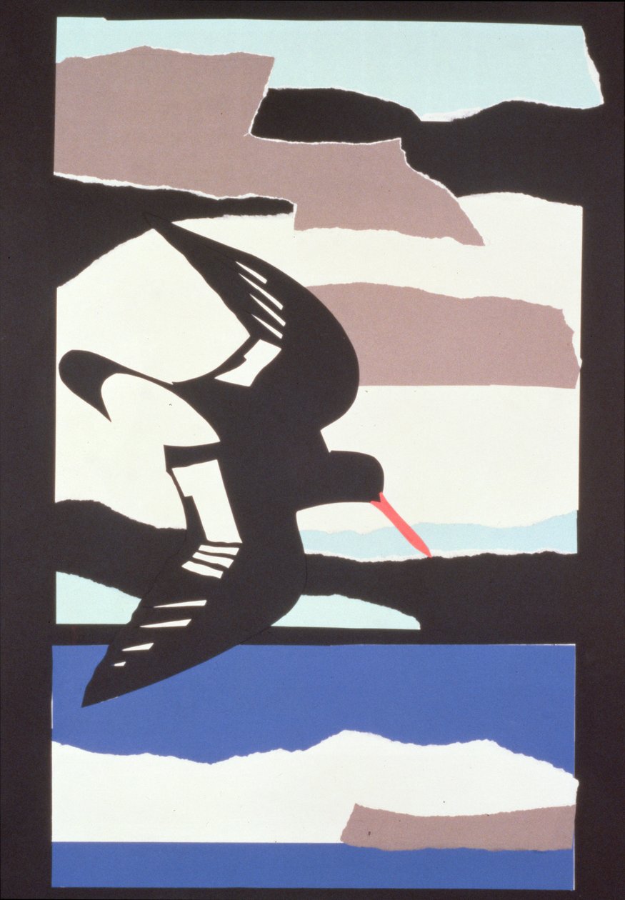 Scholekster door John Wallington