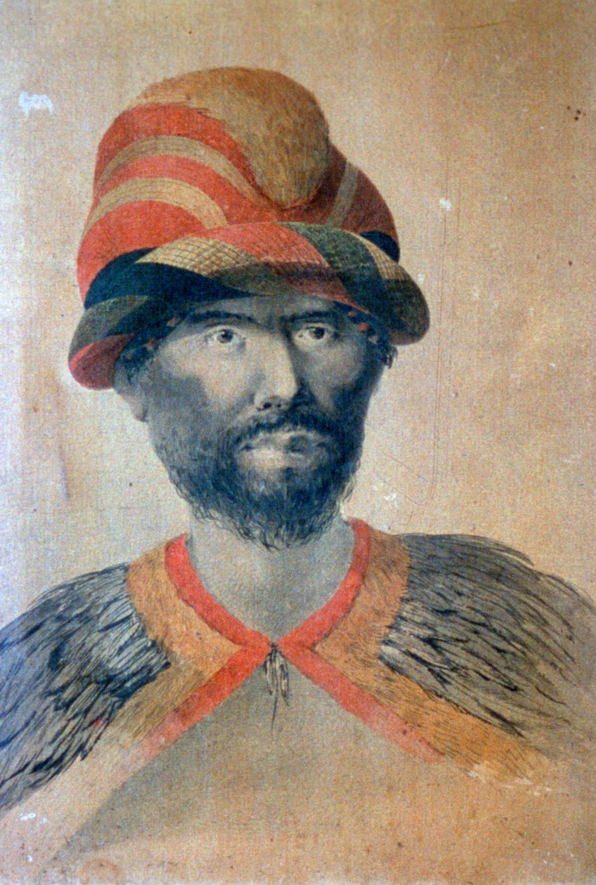Hawaïaans, 18e eeuw door John Webber