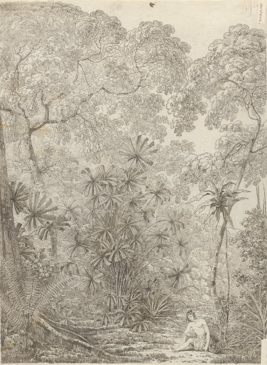De waaierpalm van Krakatau door John Webber