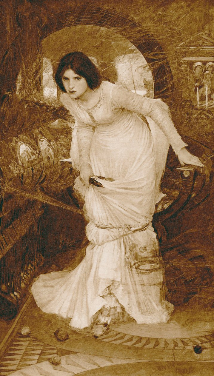 De Dame van Shalott (fotogravure) door John William (after) Waterhouse