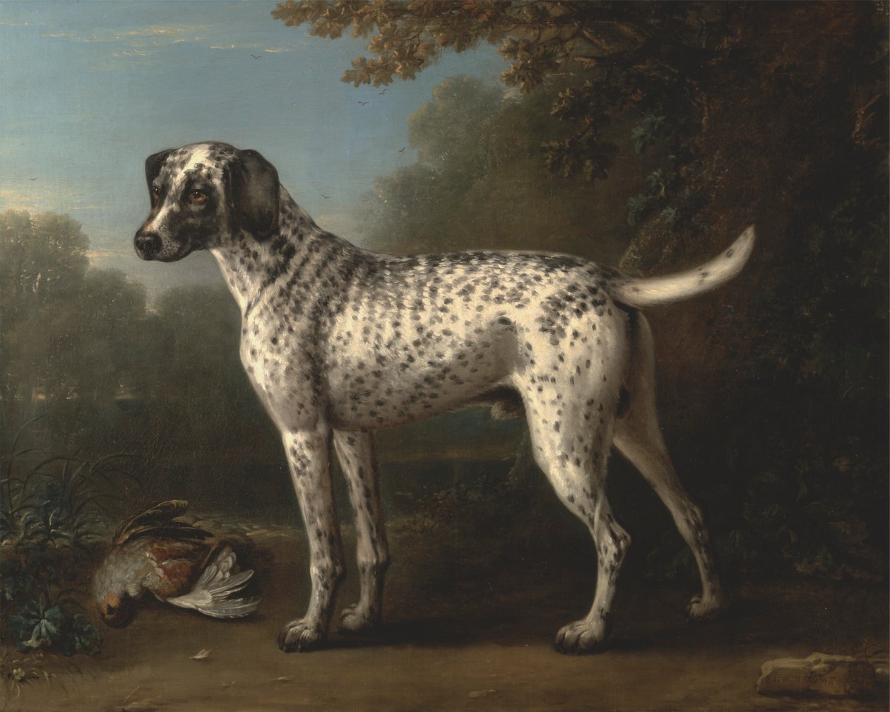 Een Grijs Gevlekte Hond door John Wootton