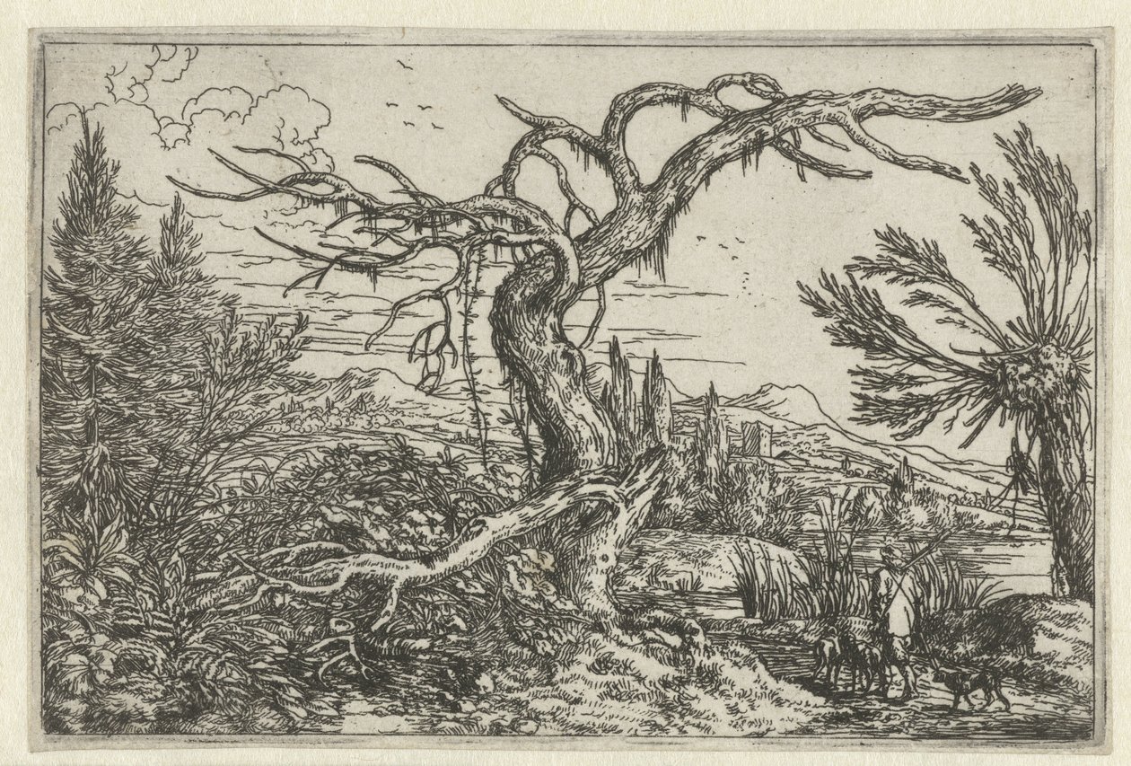 Landschap met de dorre boom door Jonas Umbach