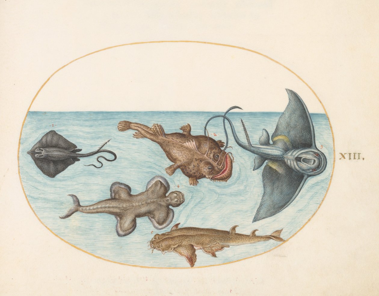 Vis, ca. 1575-80 door Joris Hoefnagel