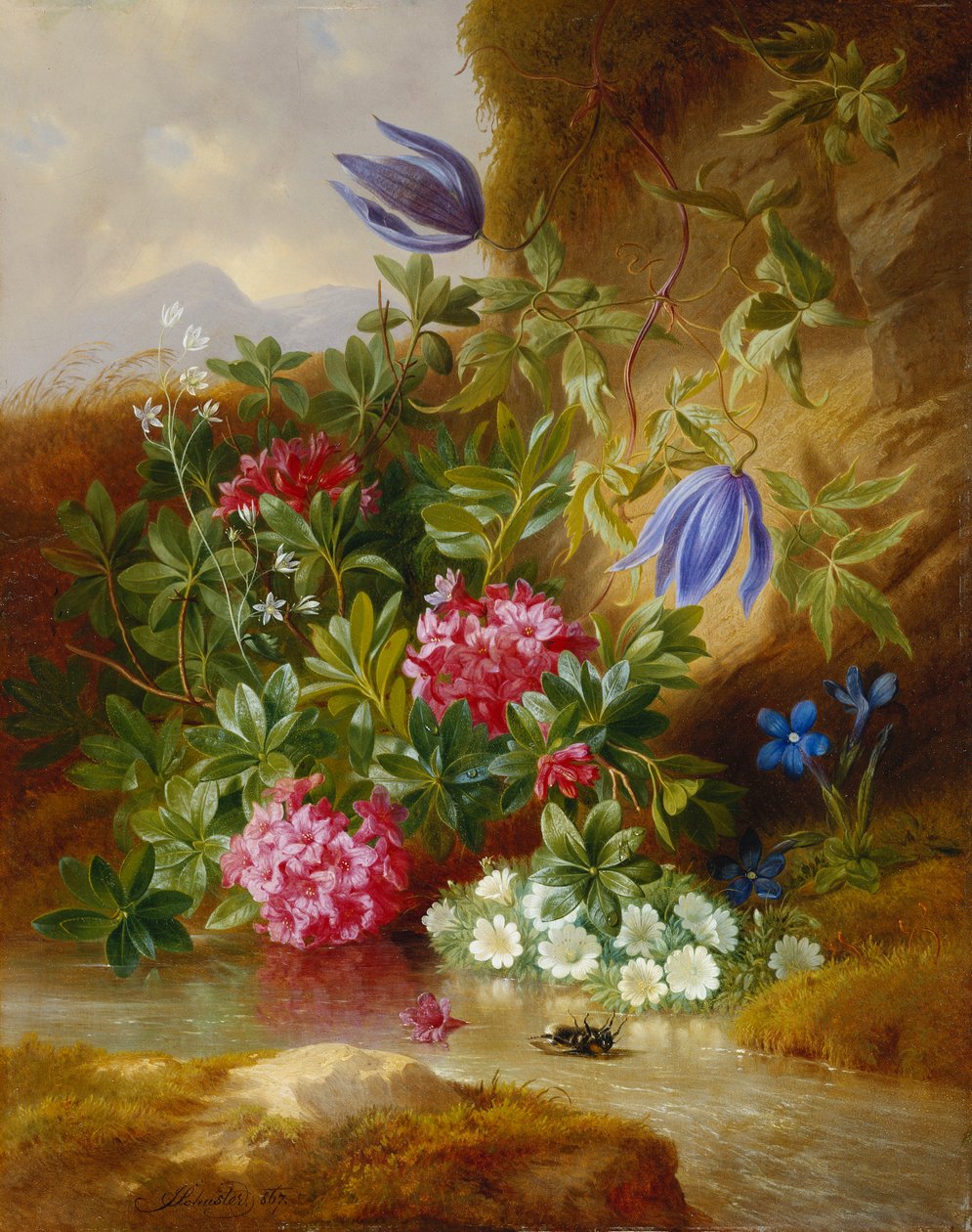 Alpenbloem door Josef Schuster