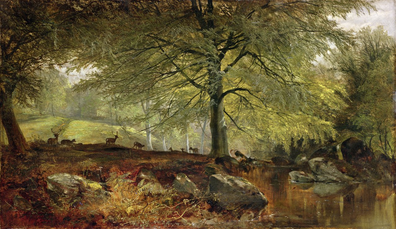 Herten in een bos door Joseph Denovan Adam
