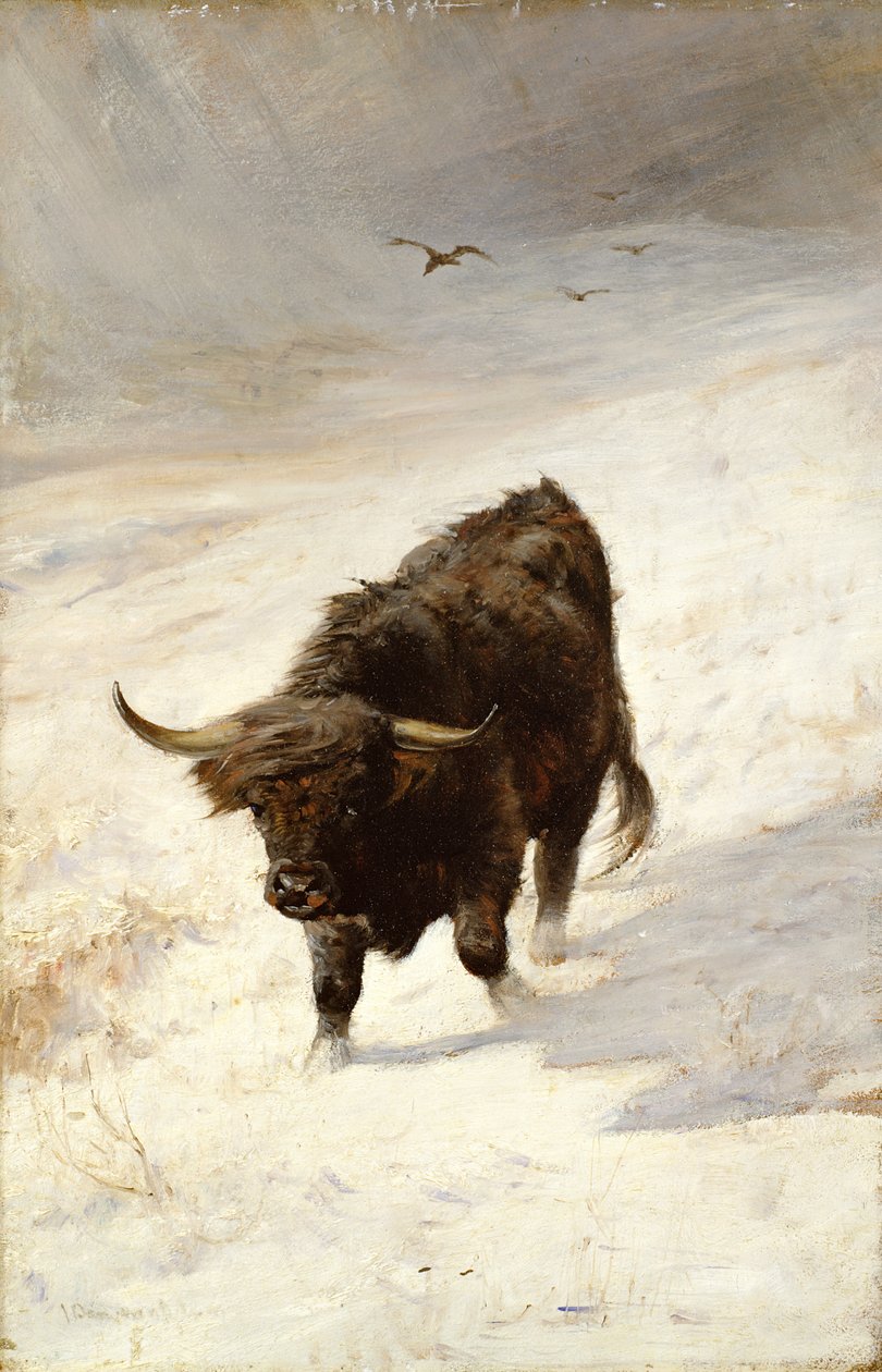 Zwarte beest zwerver door Joseph Denovan Adam