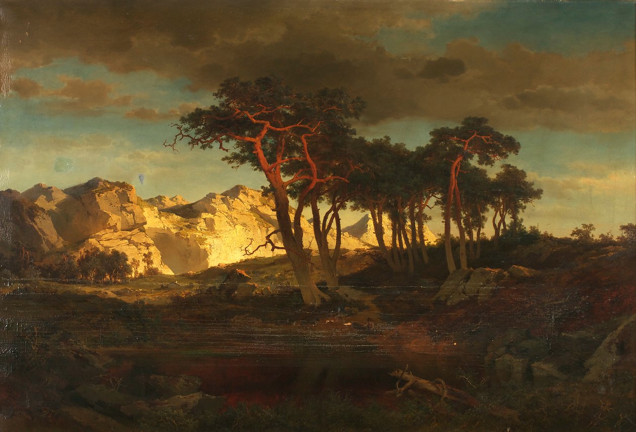 Grove dennen door Joseph Brunner
