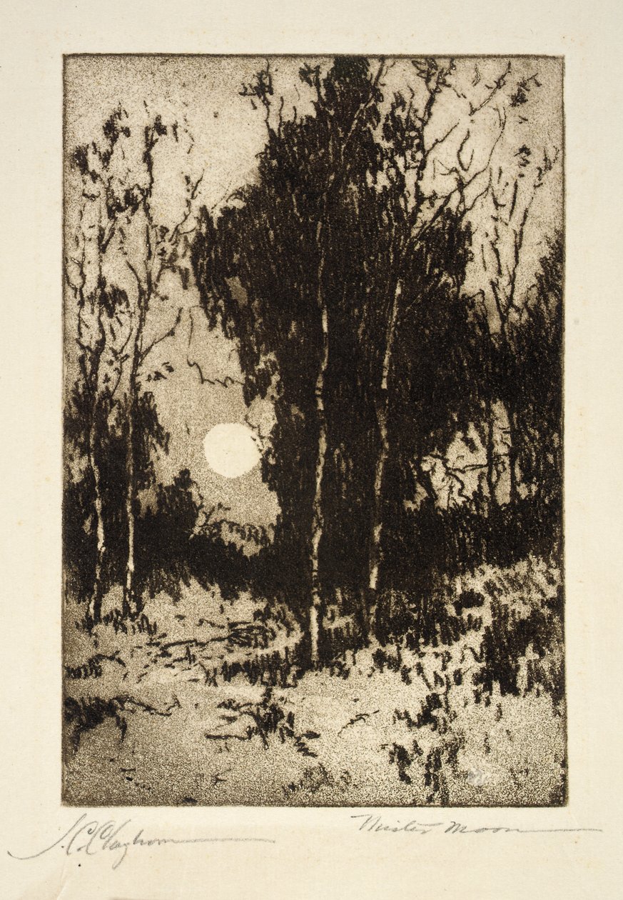 Meneer Moon door Joseph C. Claghorn