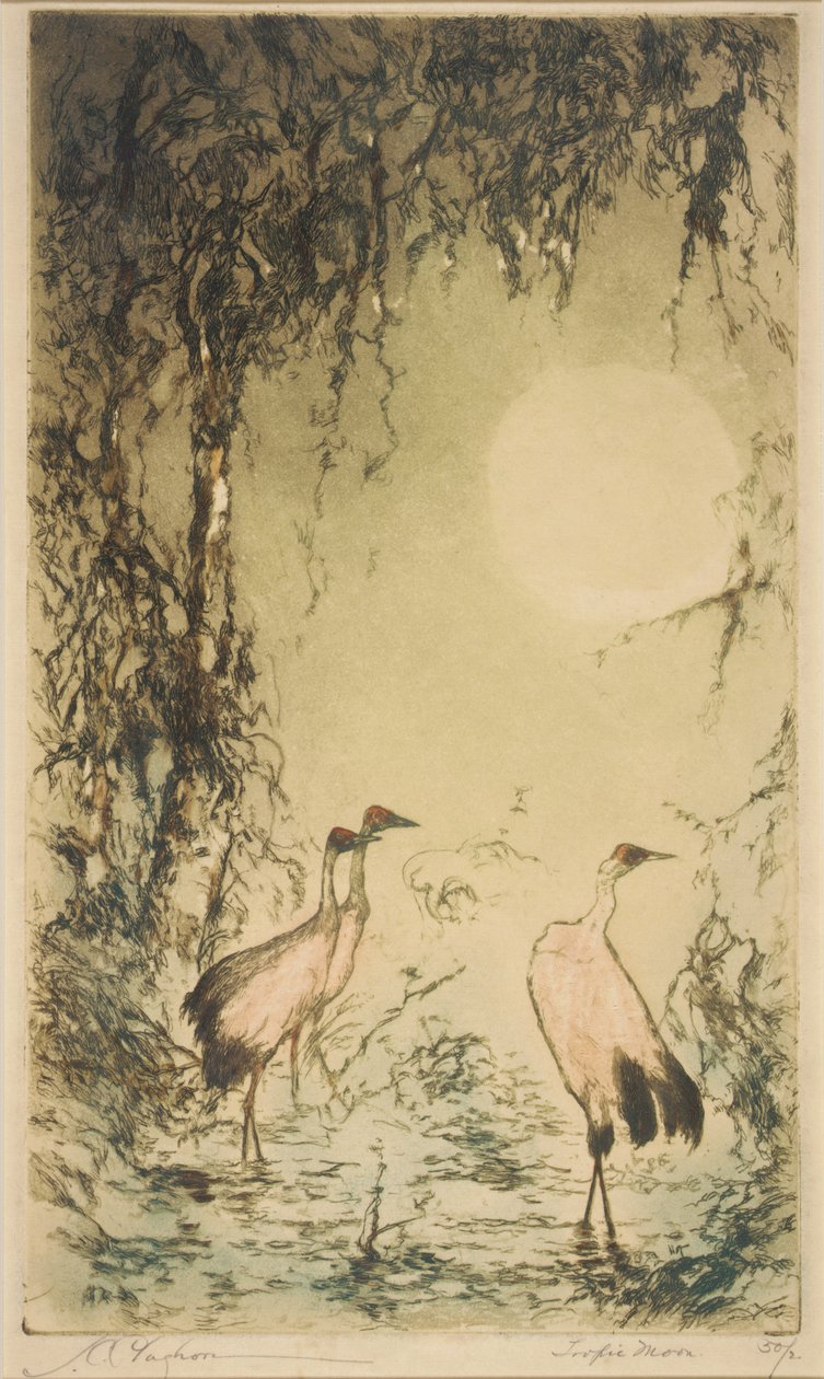 Tropische maan door Joseph C. Claghorn
