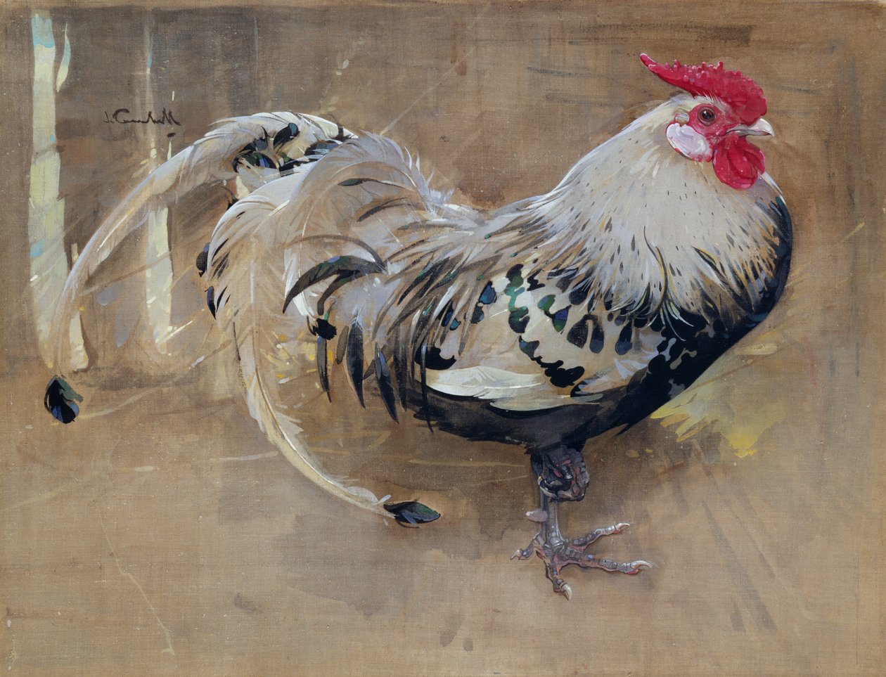 De Glinsterende Haan door Joseph Crawhall