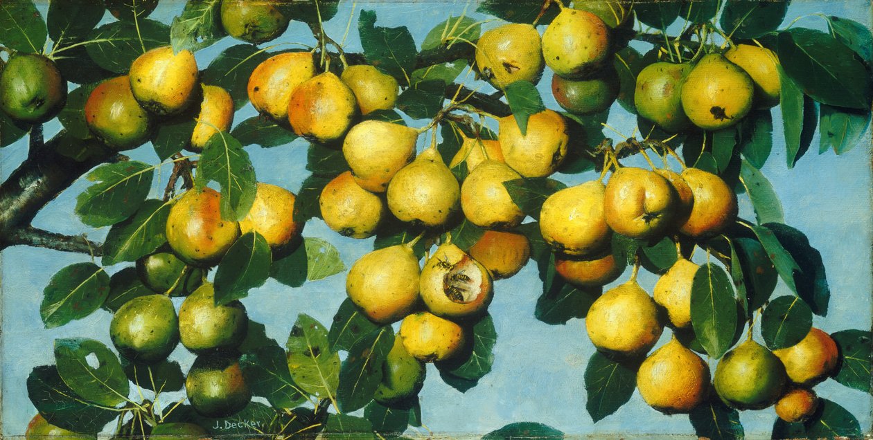 Rijpe Peren door Joseph Decker