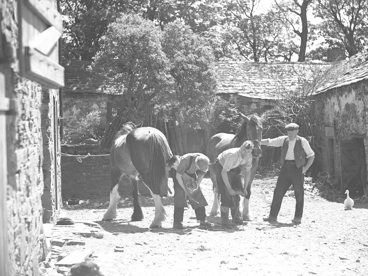 Hoefsmid beslaat paard door Joseph Hardman