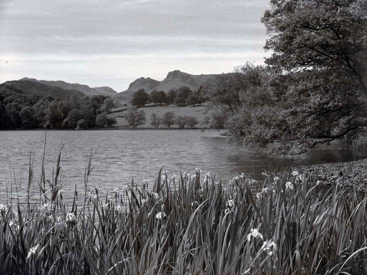 Uitzicht over Loughrigg Tarn door Joseph Hardman