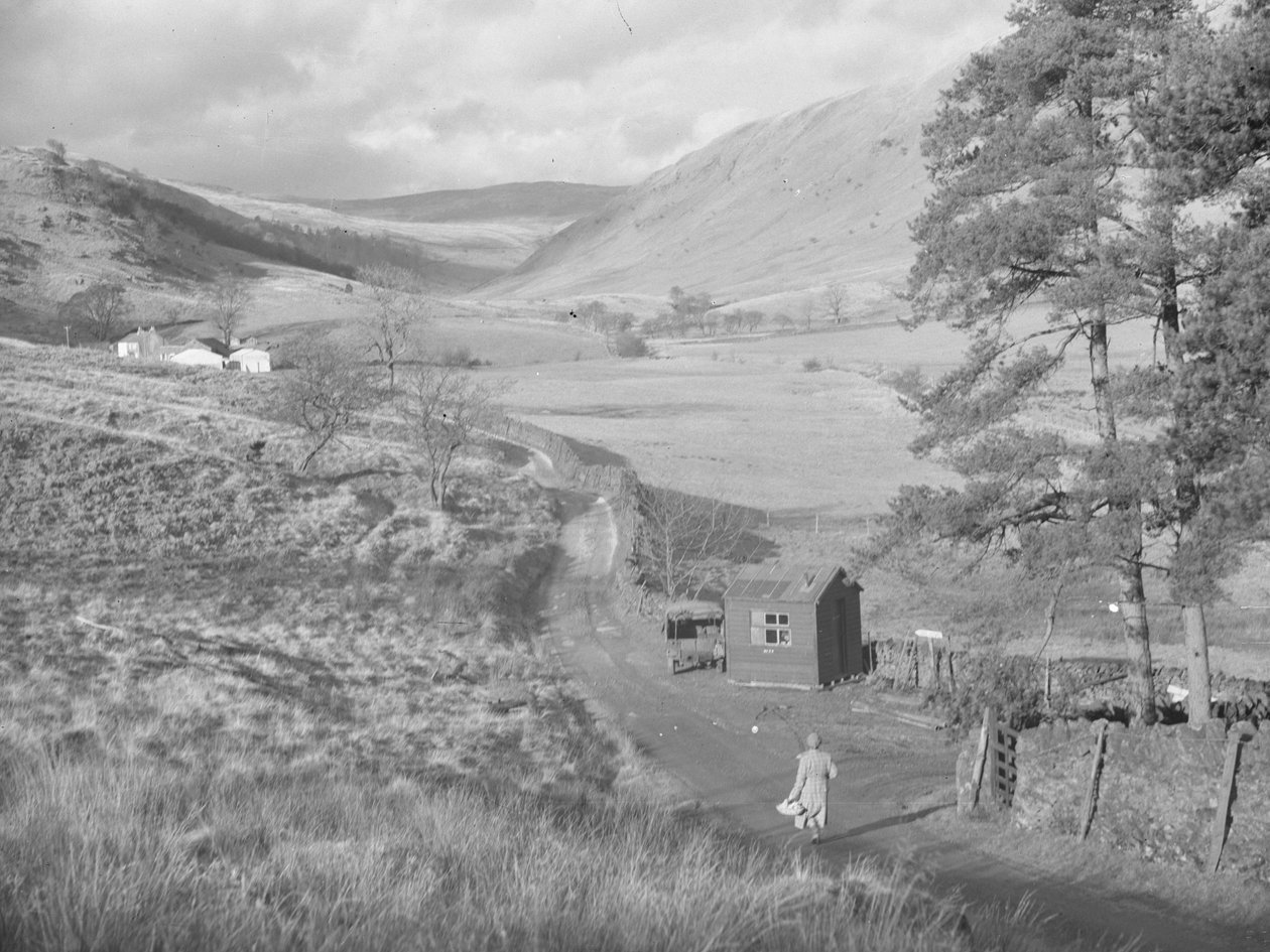 Uitzicht op de velden en heuvels van Bannisdale door Joseph Hardman