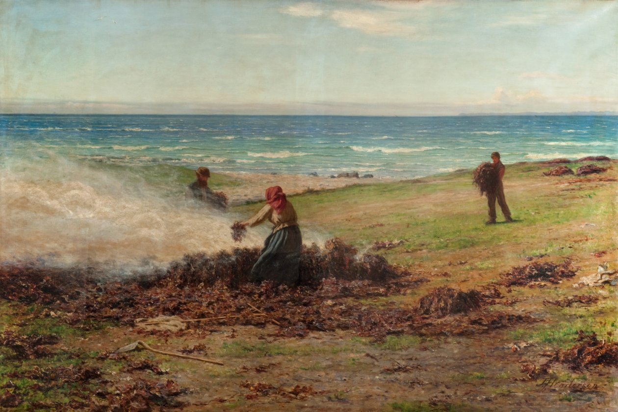 Kelp Verbranding door Joseph Henderson