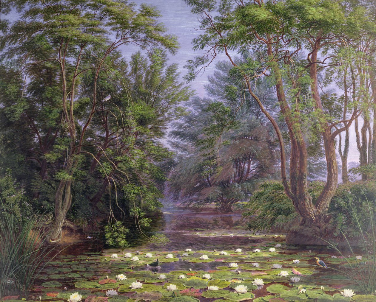 Waterlelies van de rivier Cherwell door Joseph Mallord William Turner