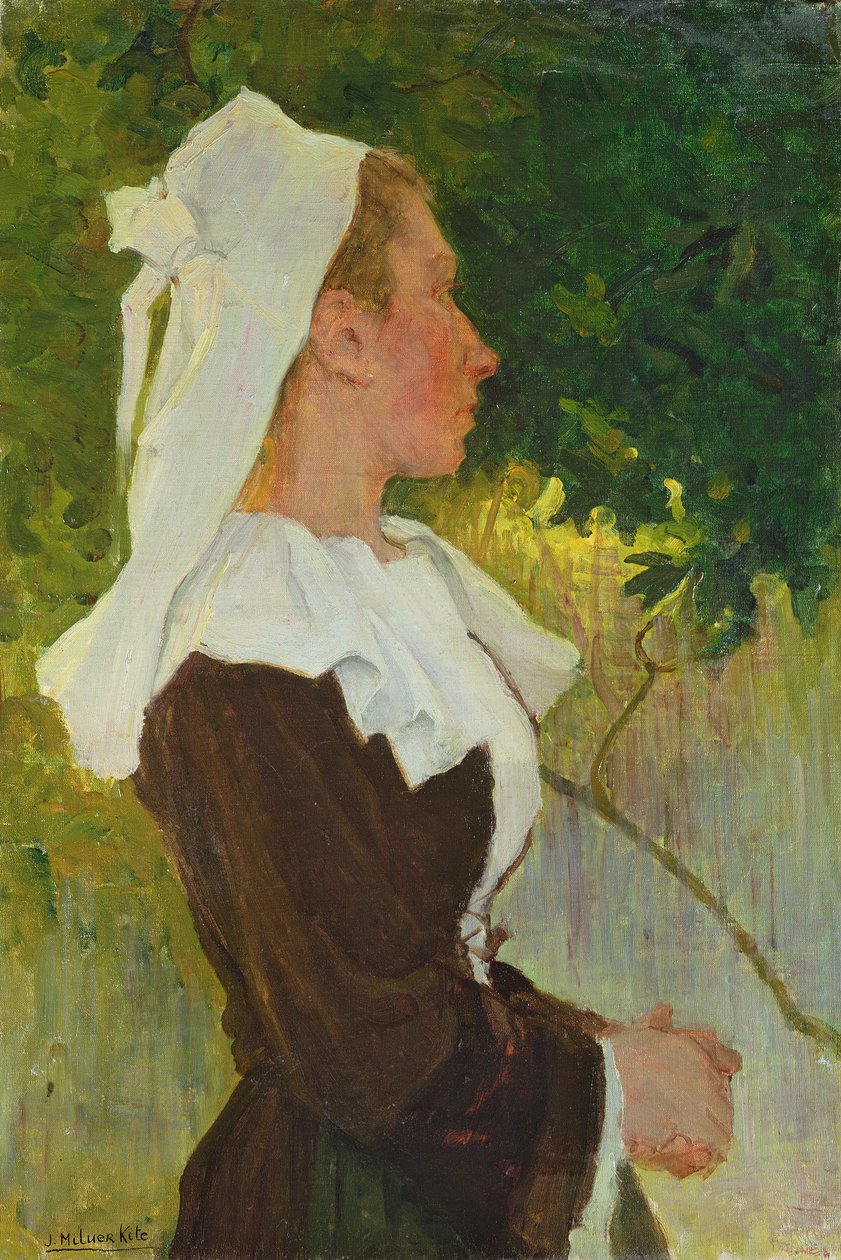 Dagdromen door Joseph Milner Kite