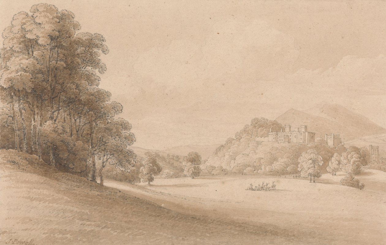 Kasteel Dunster, Somerset: Kasteel in de verte door Joseph Powell