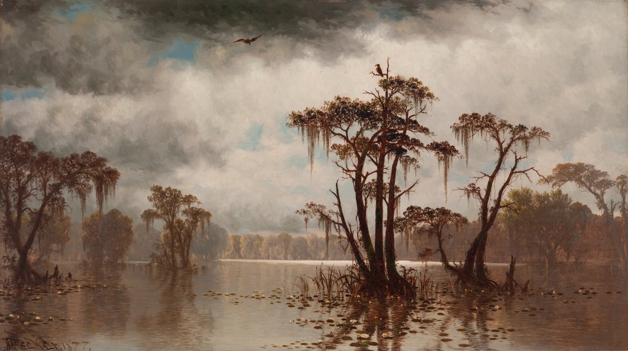 Bayou Scene door Joseph Rusling Meeker