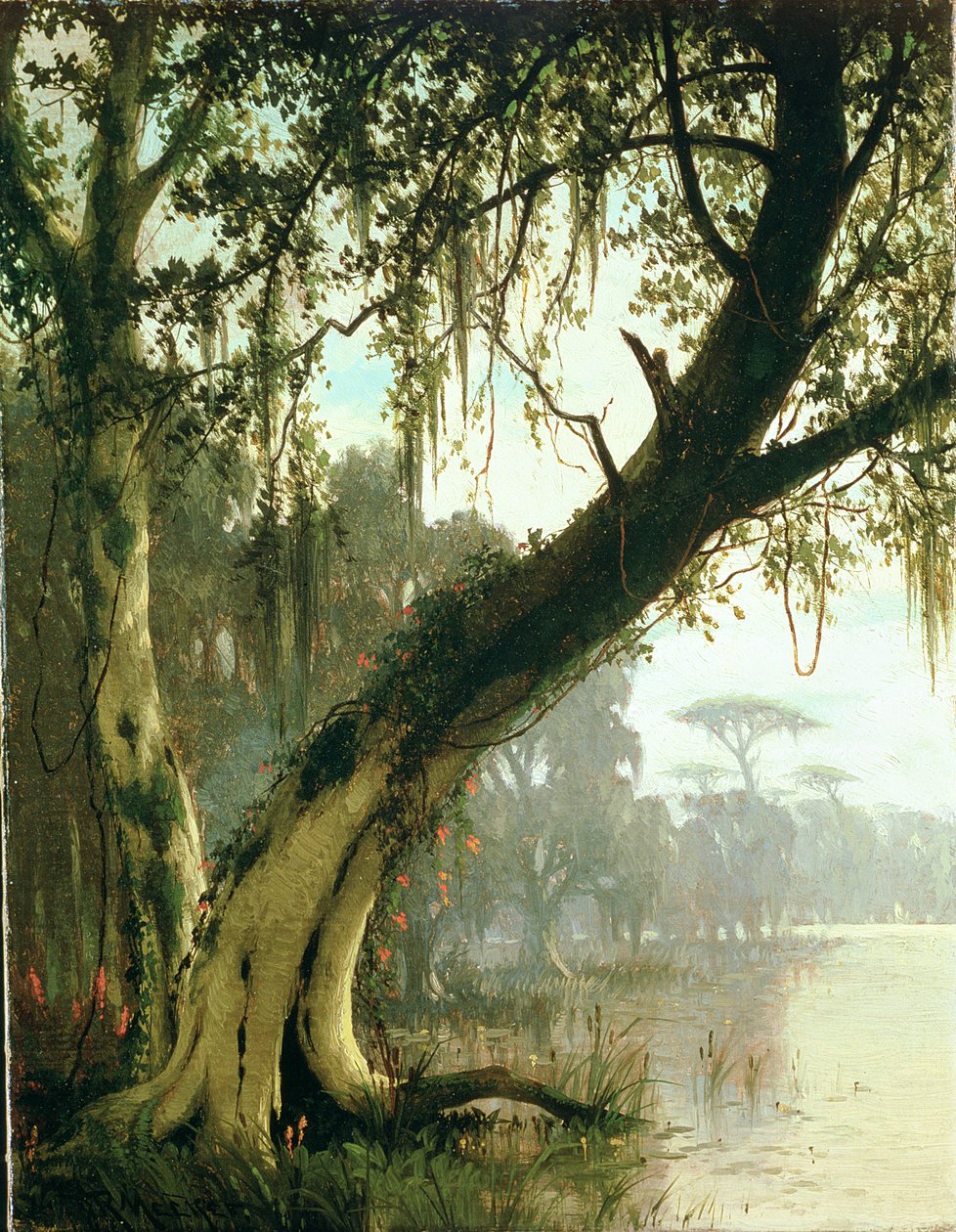 In de Bayou door Joseph Rusling Meeker