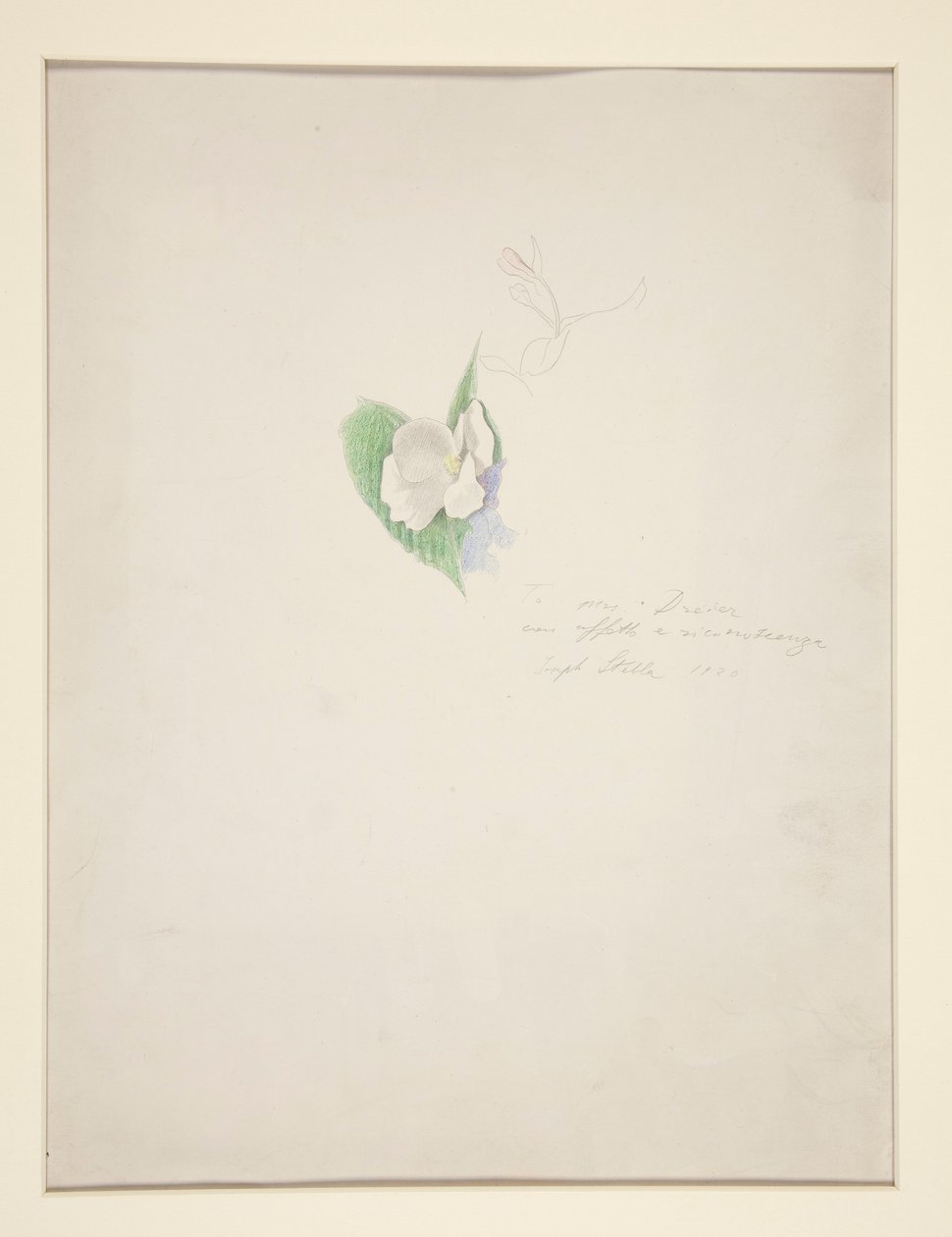 Bloem door Joseph Stella