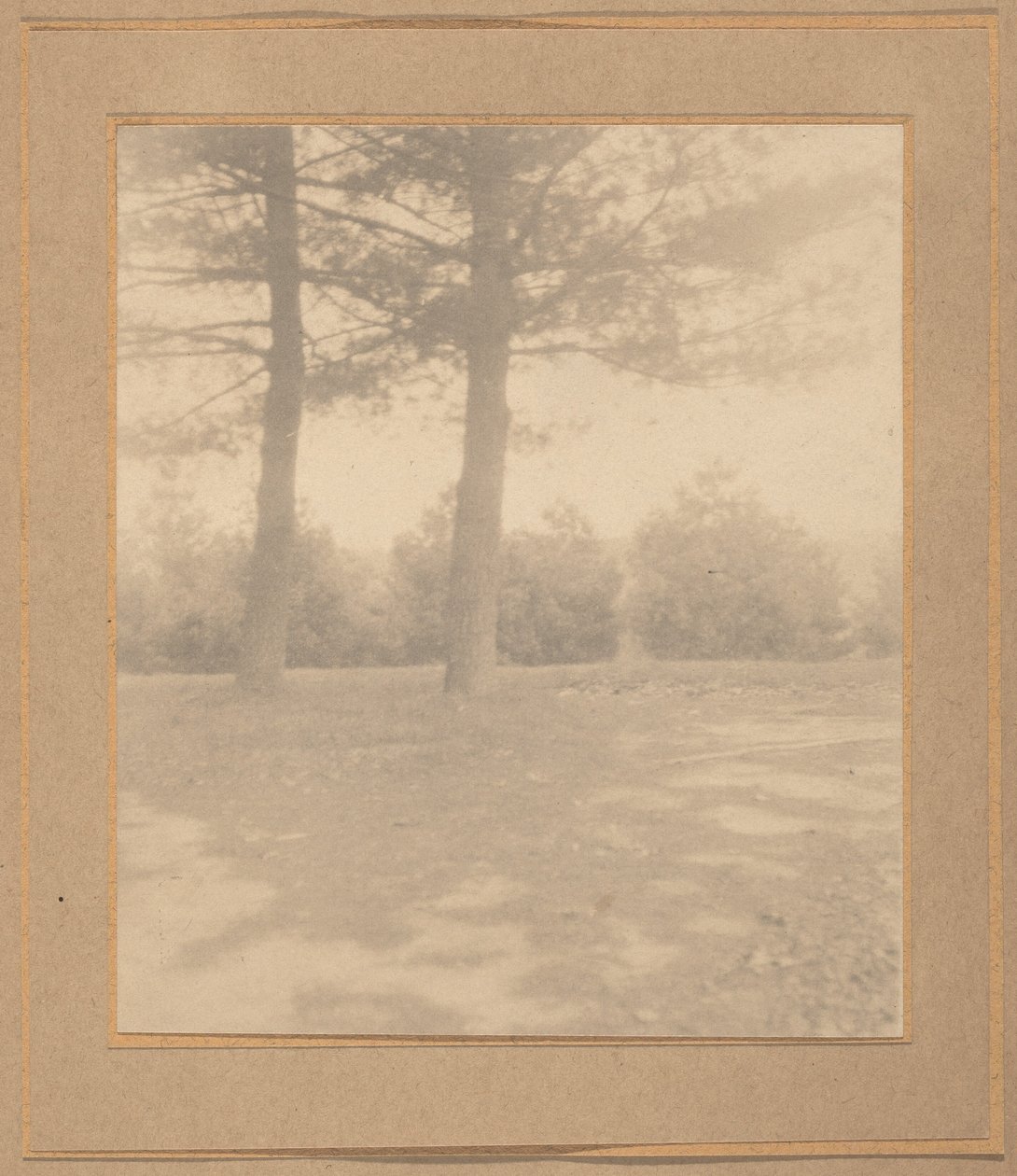 Landschap met bomen,c. 1900 (foto) door Joseph T. Keiley