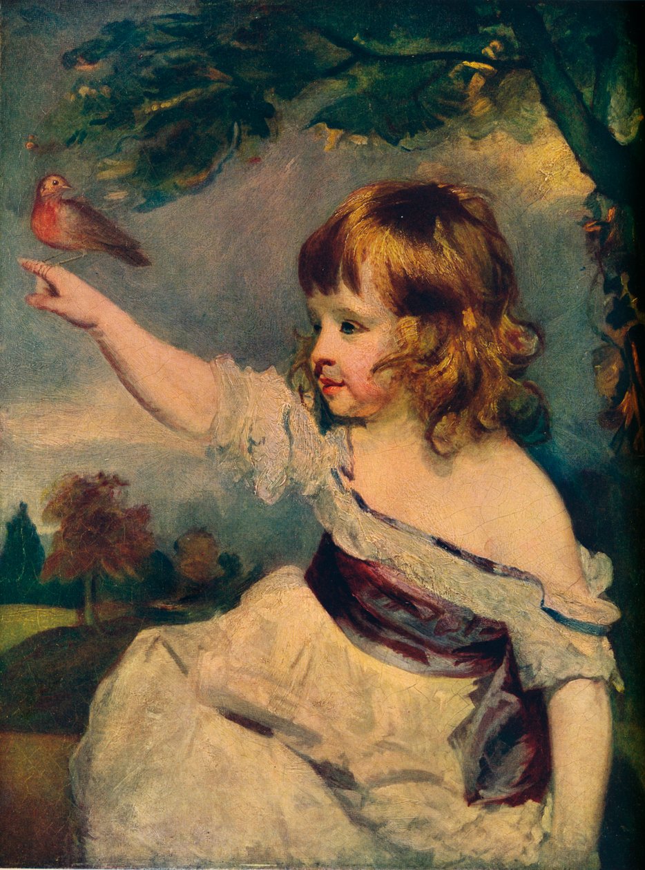Meester Haas, 1789 door Joshua Reynolds