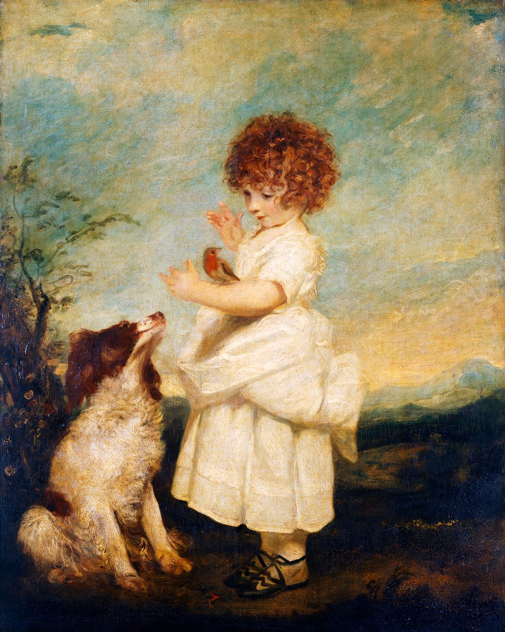 Meester Philip Yorke, later Burggraaf Royston door Joshua Reynolds