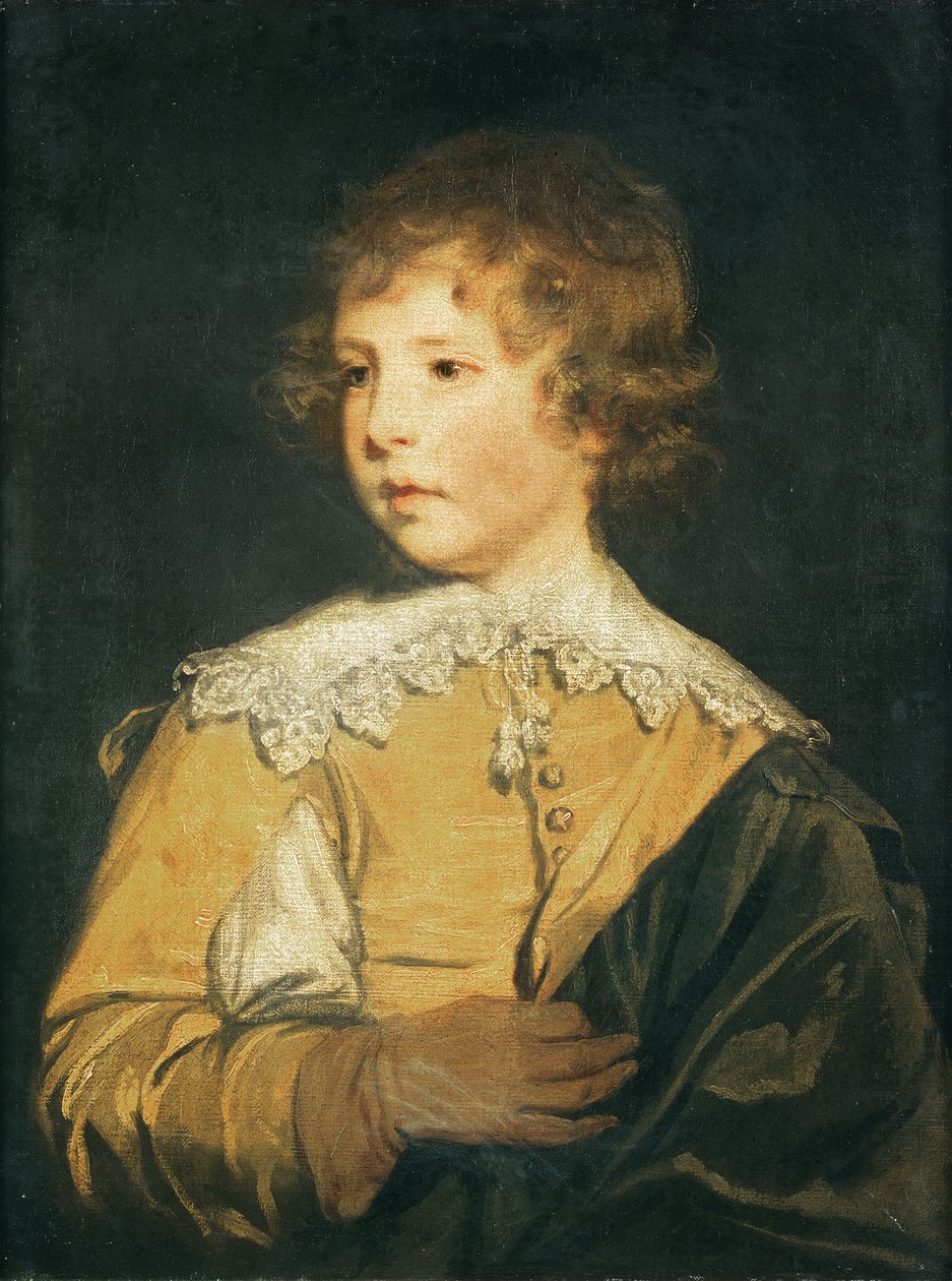 Onbekend Beeld door Joshua Reynolds