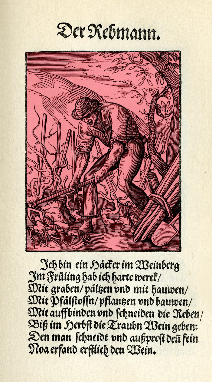 De wijnbouwer door Jost (after) Amman
