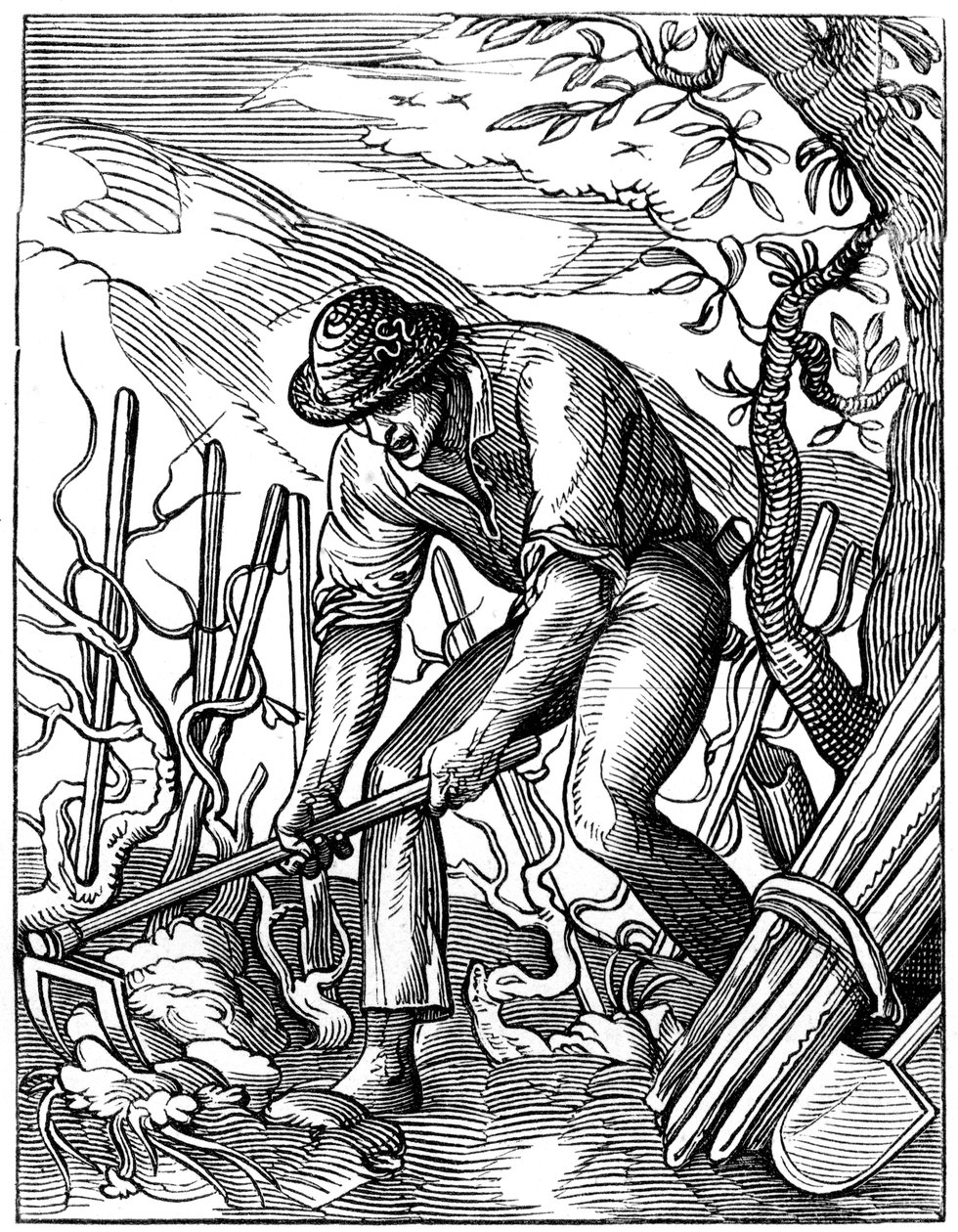Wijnmaker, 16e eeuw, 1849 door Jost Amman
