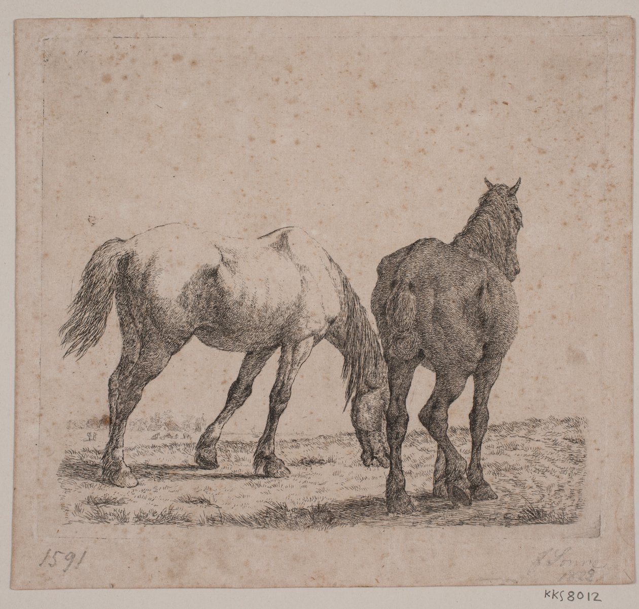 Twee paarden door Jørgen V. Sonne