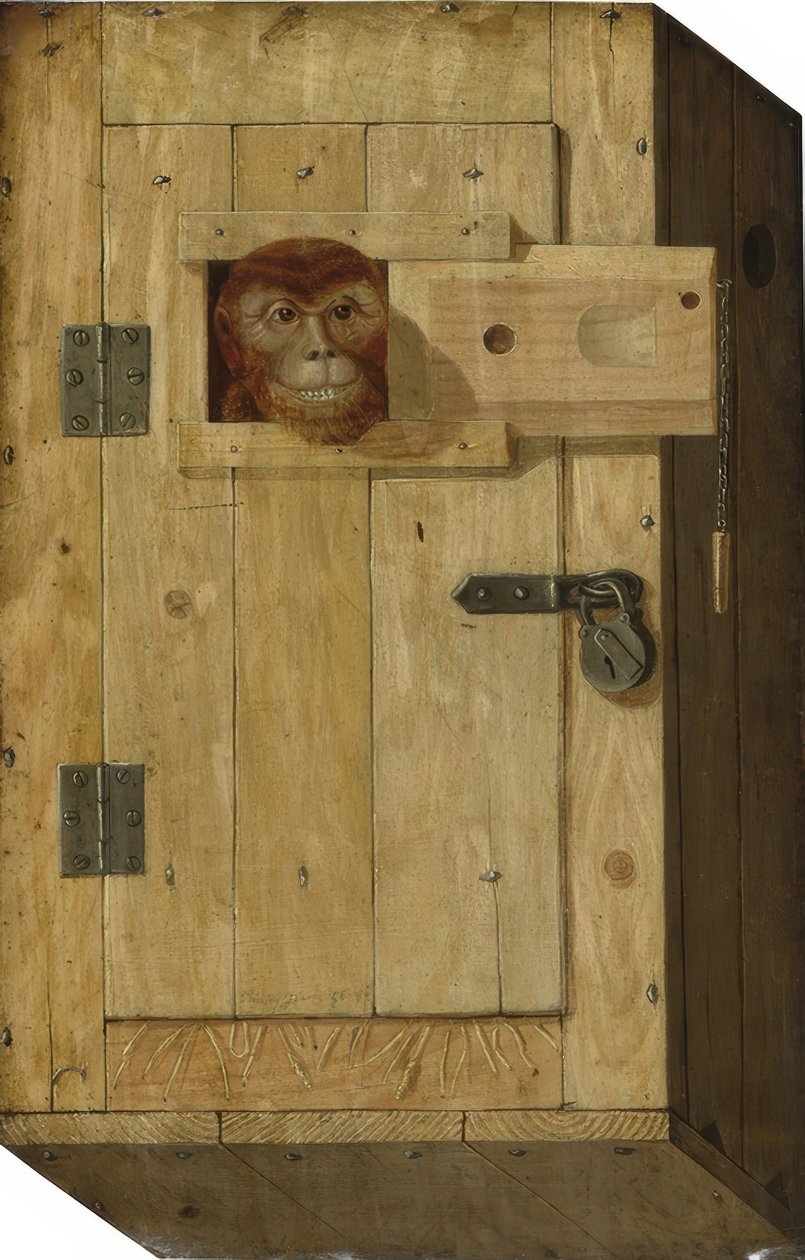 Aap in een houten doos door Jòsef Trajtler