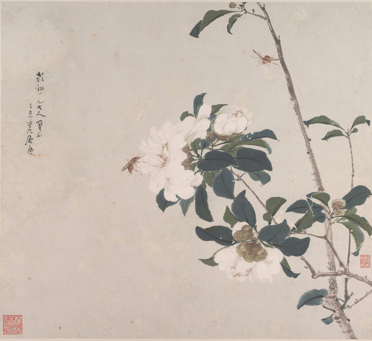 Insecten en bloemen door Ju Lian